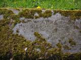 image of grave number 829441